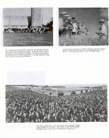 Dairy Farm, Farmers, Turkeys, Renville County 1962